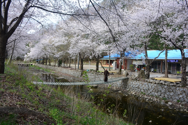 Visiting Temples In The Middle Korea
