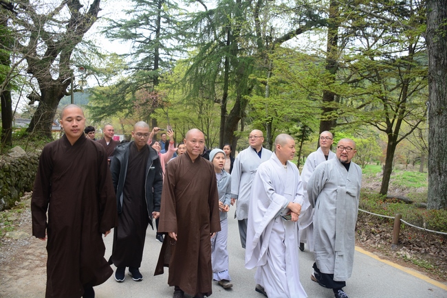Visiting Temples In The Middle Korea