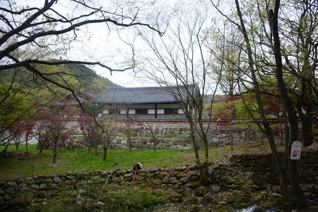 Visiting Temples In The Middle Korea