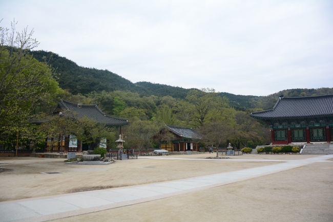 Visiting Temples In The Middle Korea