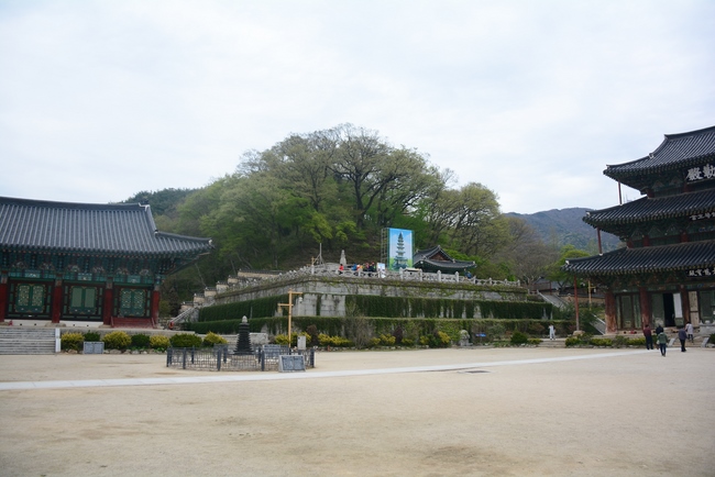 Visiting Temples In The Middle Korea