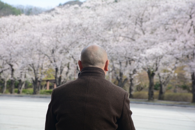 Visiting Temples In The Middle Korea