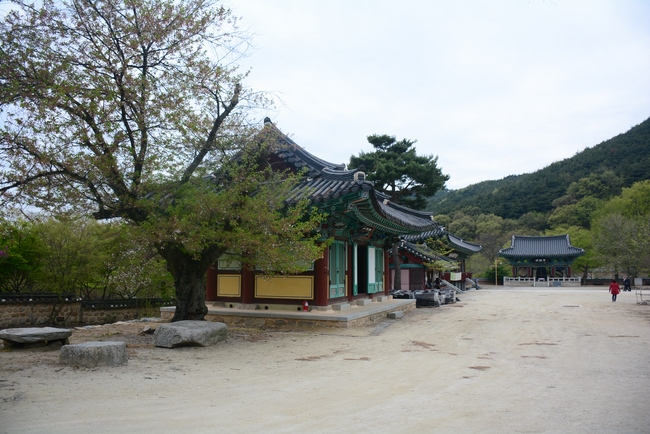 Visiting Temples In The Middle Korea