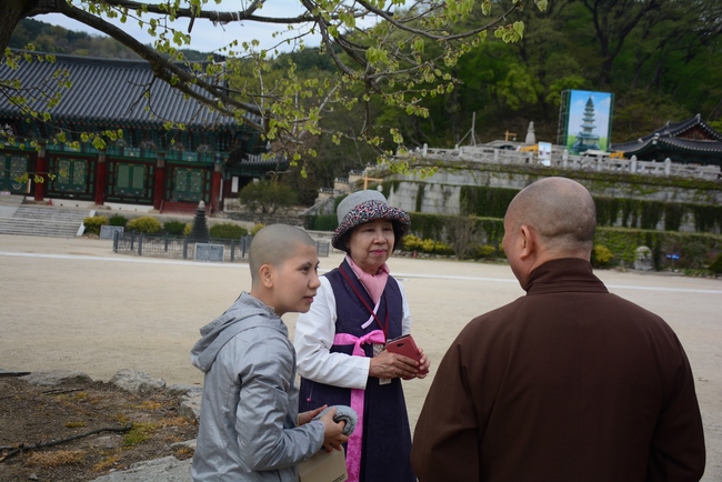 Visiting Temples In The Middle Korea