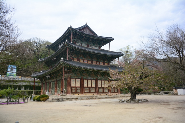 Visiting Temples In The Middle Korea