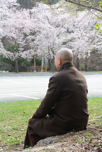 Visiting Temples In The Middle Korea