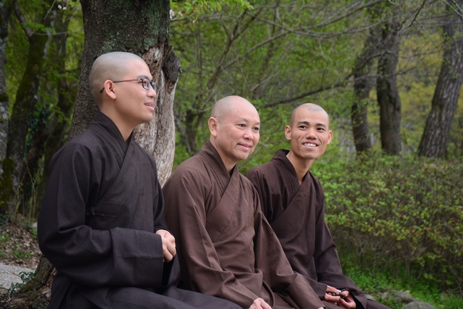 Visiting Temples In The Middle Korea
