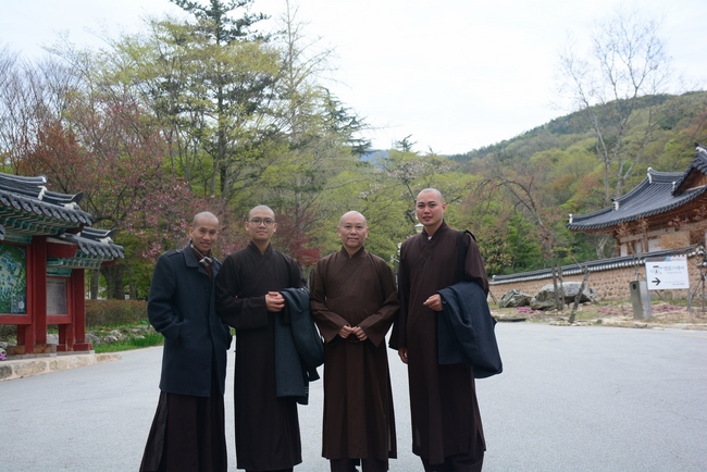 Visiting Temples In The Middle Korea