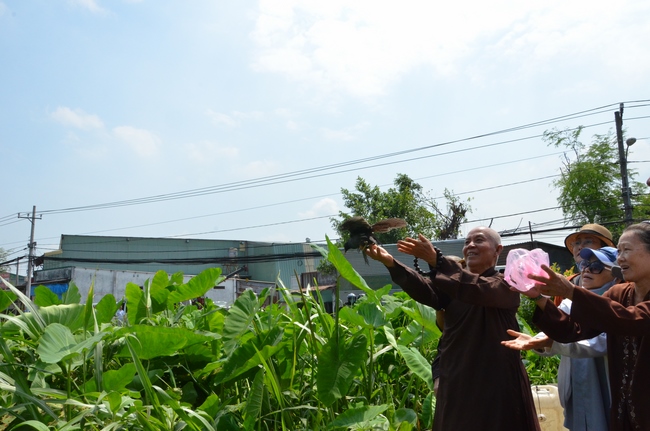 Releasing Creatures in Cu Chi District