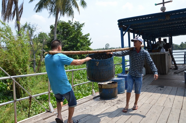 Releasing Creatures in Cu Chi District