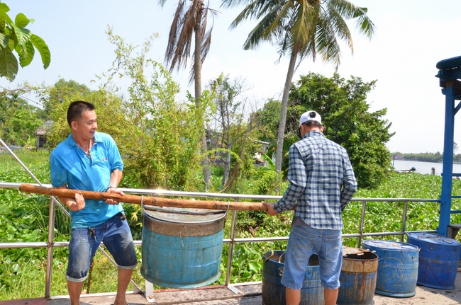 Releasing Creatures in Cu Chi District