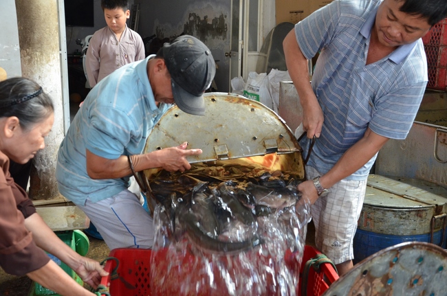 Releasing Creatures in Cu Chi District