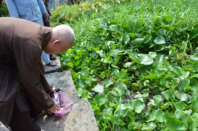 Releasing Creatures in Cu Chi District
