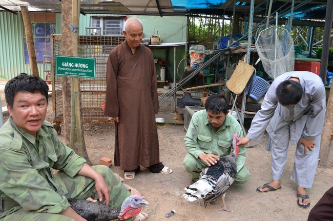 Transferring a varan to the ranch of wild animals
