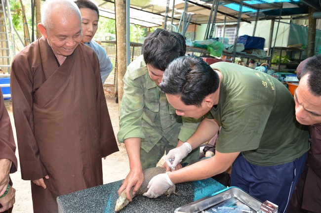Transferring a varan to the ranch of wild animals