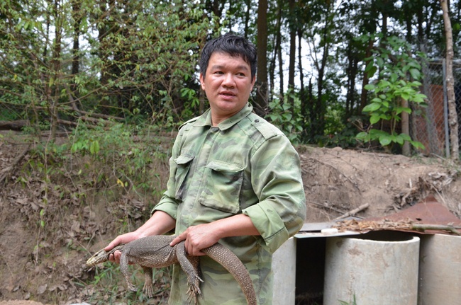 Transferring a varan to the ranch of wild animals