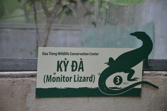 Transferring a varan to the ranch of wild animals