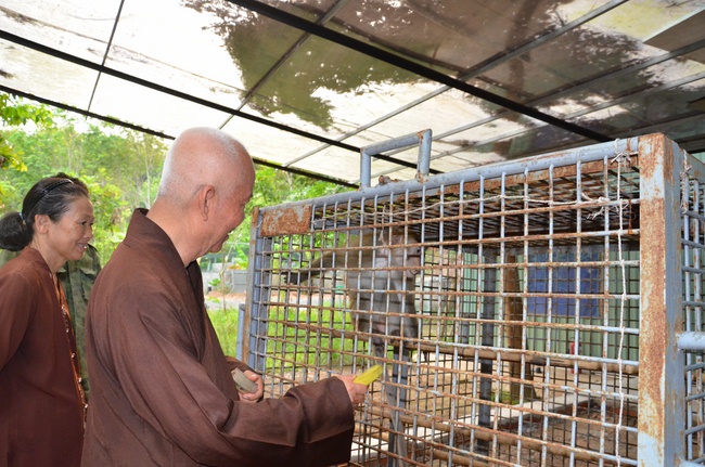 Transferring a varan to the ranch of wild animals