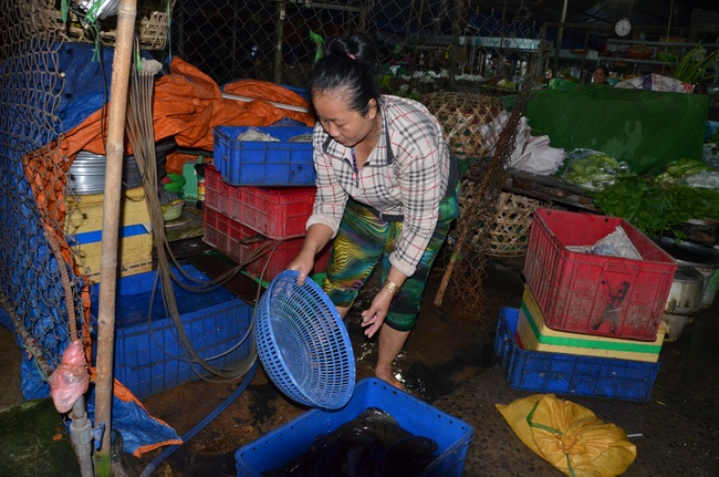 Transferring a varan to the ranch of wild animals