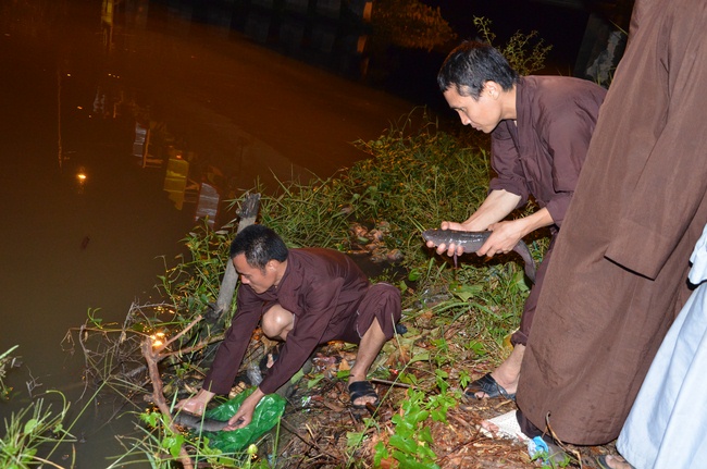 Transferring a varan to the ranch of wild animals