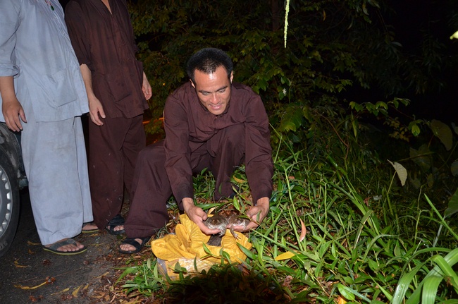 Transferring a varan to the ranch of wild animals