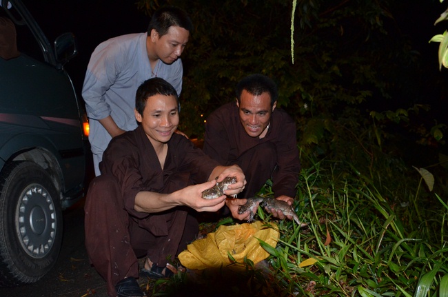 Transferring a varan to the ranch of wild animals
