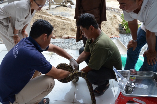 Transferring a varan to the ranch of wild animals