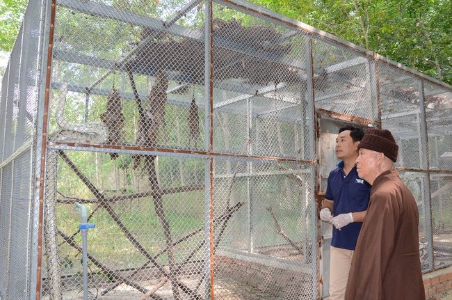 Transferring a varan to the ranch of wild animals