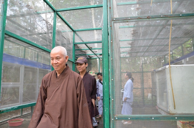 Transferring a varan to the ranch of wild animals