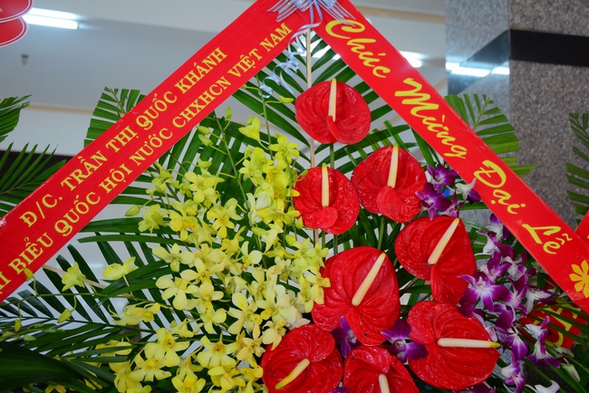 Lễ khánh thành chùa Hưng Pháp - Đồng Nai