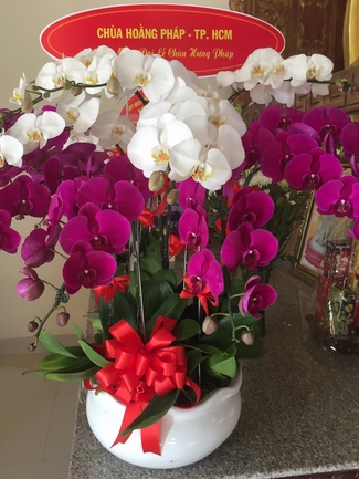 Lễ khánh thành chùa Hưng Pháp - Đồng Nai