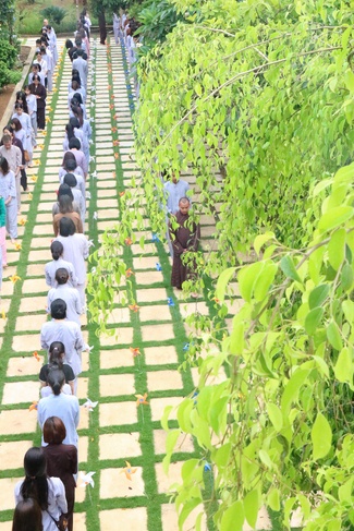 Khóa tu thiền trà “Về để lắng nghe” tại chùa Hòa Phúc