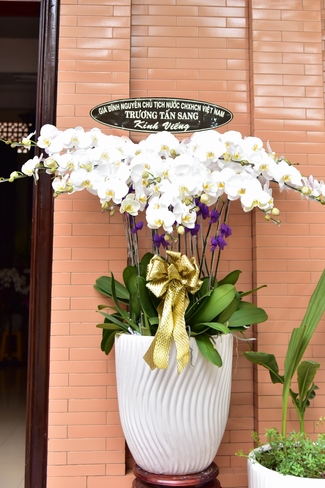 The day mother has gone...