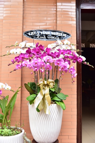 The day mother has gone...