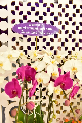 The day mother has gone...