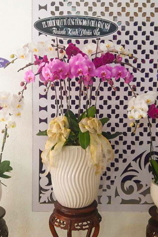 The day mother has gone...