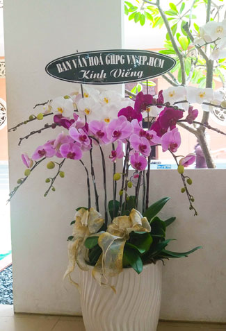 The day mother has gone...