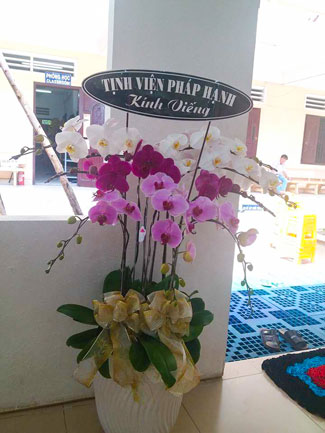 The day mother has gone...