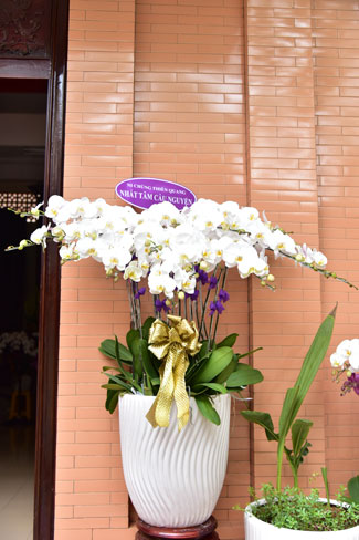 The day mother has gone...