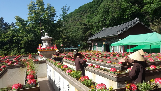 Vesak Ceremony for the Vietnamese at Yonggungsa Temple, Korea