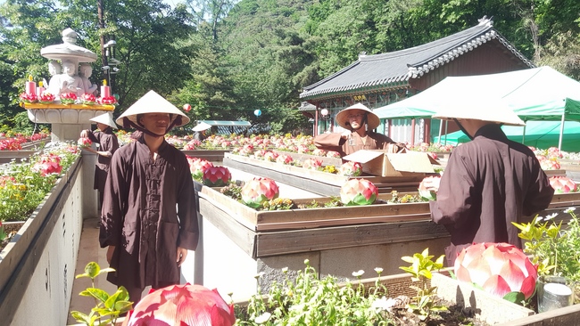 Vesak Ceremony for the Vietnamese at Yonggungsa Temple, Korea