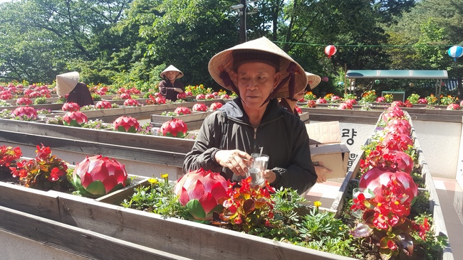 Vesak Ceremony for the Vietnamese at Yonggungsa Temple, Korea