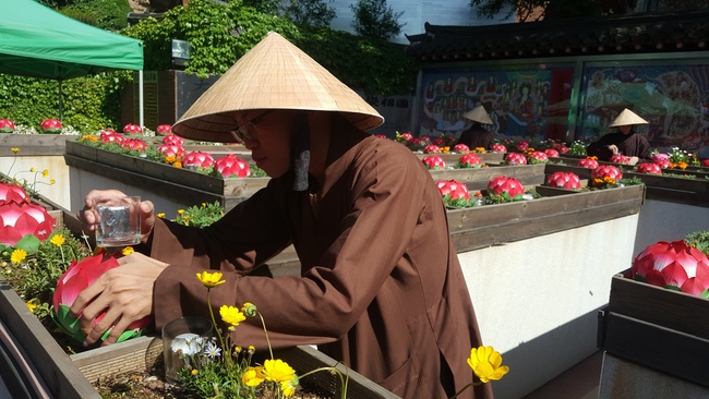 Vesak Ceremony for the Vietnamese at Yonggungsa Temple, Korea