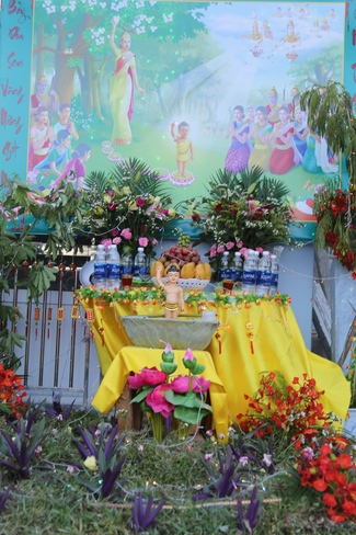 The Buddha’s birthday celebration at Dong Cao pagoda in Thanh Hoa province