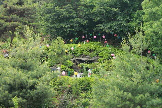 Lễ Tắm Phật tại chùa Cham Jeoun Uri - Hàn Quốc