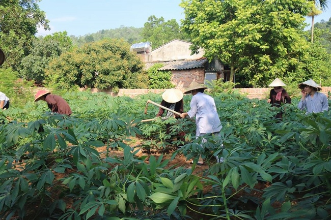Hà Nội: Gần 150 bạn trẻ cùng tham dự khóa tu “Về để lắng nghe”