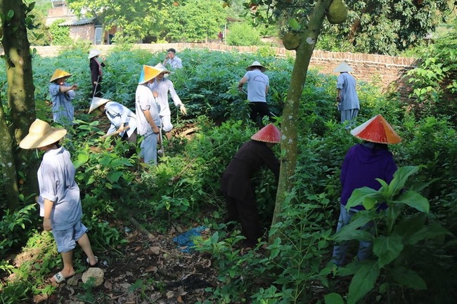 Hà Nội: Gần 150 bạn trẻ cùng tham dự khóa tu “Về để lắng nghe”