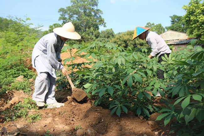 Hà Nội: Gần 150 bạn trẻ cùng tham dự khóa tu “Về để lắng nghe”