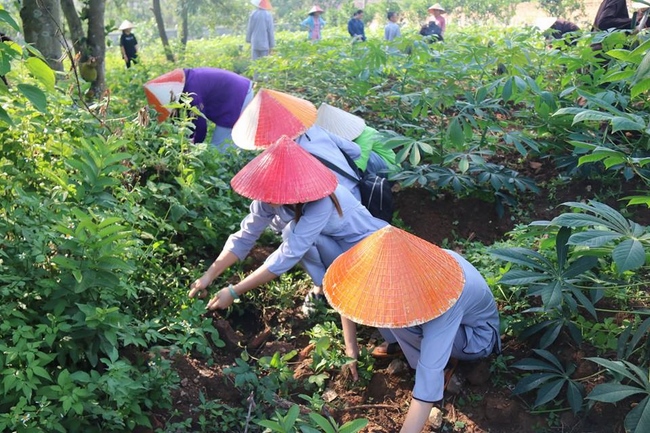 Hà Nội: Gần 150 bạn trẻ cùng tham dự khóa tu “Về để lắng nghe”
