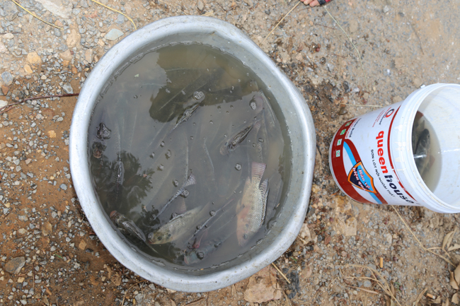 Praying before Examination at Dong Cao Pagoda – Thanh Hoa